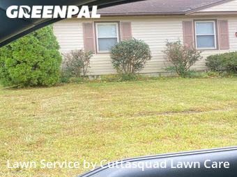 Lawn Cut nearby Virginia Beach, VA, 