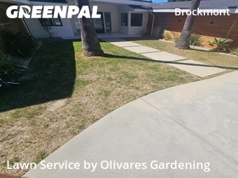 Landscape Design In Glendale,91202,Landscaping Maintenance by Olivares Gardening , work completed in Apr , 2026
