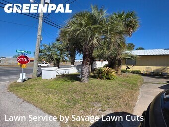 Lawn Mow nearby Panama City Beach, FL, 