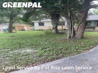 Yard Cutting nearby Brooksville, FL, 