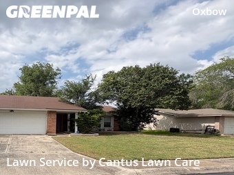 Lawn Cut nearby San Antonio, TX, 