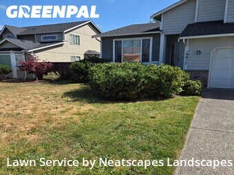 Lawn Mow nearby Spanaway, WA, 