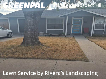 Lawn Service nearby Austin, TX, 