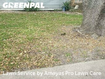 Lawn Mowing Service nearby Corpus Christi, TX, 