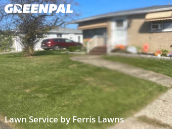 Lawn Cutting in Buffalo, 14219, Turf Services by Ferris Lawns, work completed in Oct , 2025