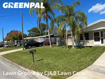 Lawn Mow nearby Port Richey, FL, 