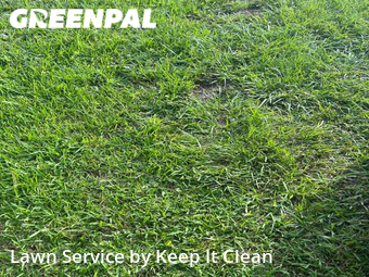 Lawn Mow nearby Cutler Bay, FL, 