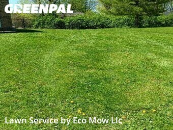 Yard Mowing nearby Greenwood, IN, 