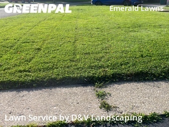Grass Cutting nearby Joliet, IL, 
