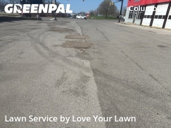Grass Cut nearby Buffalo, NY, 
