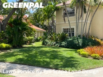 Lawn Cut nearby Weston, FL, 