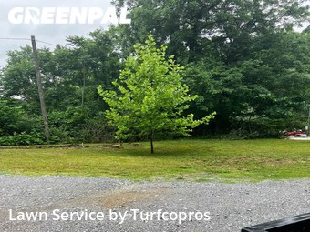 Lawn Care Service nearby Ashland City, TN, 
