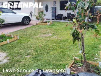 Yard Upkeep in Dania Beach, 33004, Yard Care by Lawnsetc, work completed in Nov , 2025