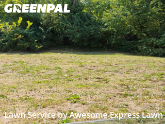 Lawn Care nearby Mount Vernon, IL, 