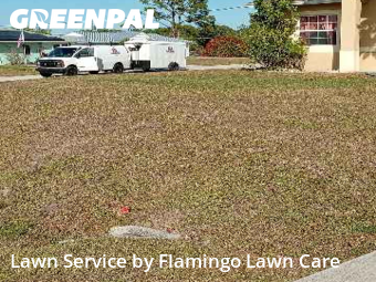Yard Services in Fort Myers, 33967, Garden Trimming by Flamingo Lawn Care, work completed in Dec , 2025