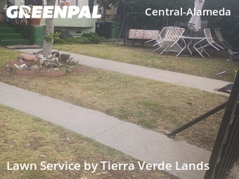 Work completed by lawn-mowing-quotes-in in Los Angeles, CA