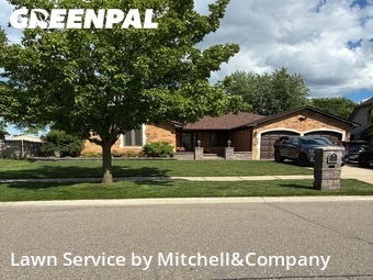 Lawn mowed in Sterling Heights, 48310