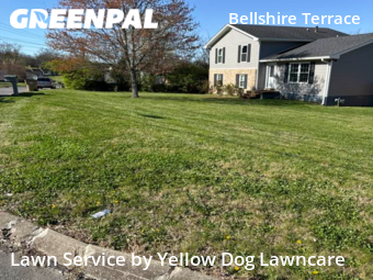 Yard Cutting nearby Nashville, TN, 