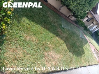 Grass Cutting nearby Modesto, CA, 