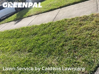 Lawn Mowing Servicein Plantation,33317,Yard Mowing by Caidens Lawncare , work completed in Jun , 2026