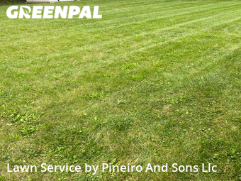 Grass Cut nearby Dover, PA, 