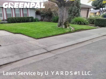 Landscaping Cleanup In Modesto,95358,Landscaping Services by U  Y A R D S #1 LLC., work completed in Dec , 2025