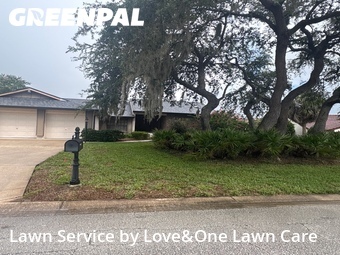 Lawn Mow nearby Orlando, FL, 