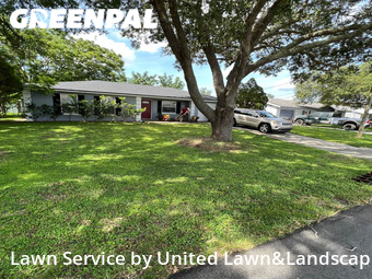 Grass Cut nearby Lakeland, FL, 