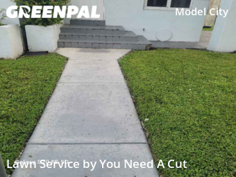 Lawn Cutting nearby Miami, FL, 