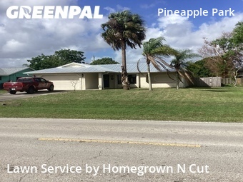 Grass Cut nearby Port St. Lucie, FL, 