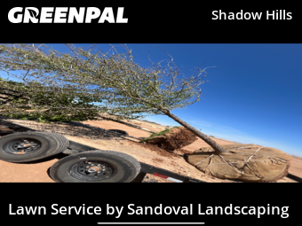 Lawn Mowing Service nearby Lubbock, TX, 