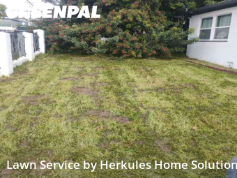 Work completed by lawn-care-experts-in-San Diego-CA