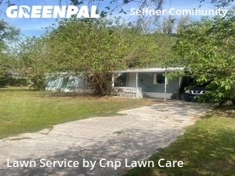 Lawn Cut nearby Seffner, FL, 