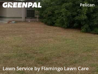Turf Services in Cape Coral, 33914, Mowing Services by Flamingo Lawn Care, work completed in Dec , 2025