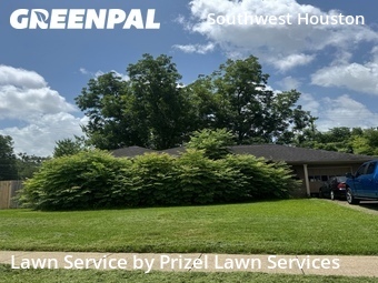 Lawn Cuttingin Bellaire,77401,Lawn Mowing by Prizel Lawn Services, work completed in Jun , 2026