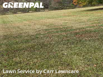 Lawn Mow nearby Palmyra, NY, 