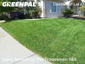 Lawn Service nearby Brentwood, CA, 