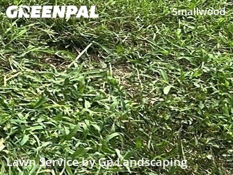 Landscapers In Charlotte,28208,Landscaping by Gp Landscaping, work completed in Jul , 2026