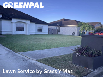 Lawn Mow nearby Brownsville, TX, 