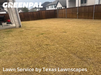 Local Lawn And Landscape Maintenance Services Near Me In Frisco,75035,Landscaping Maintenance by Texas Lawnscapes, work completed in Jan , 2026