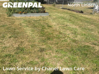 Lawn Care nearby Columbus, OH, 