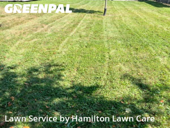 Grass Cut nearby Noblesville, IN, 