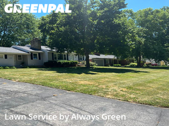 Grass Cut nearby Roeland Park, MO, 