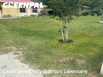Lawn Care nearby Ocala, FL, 