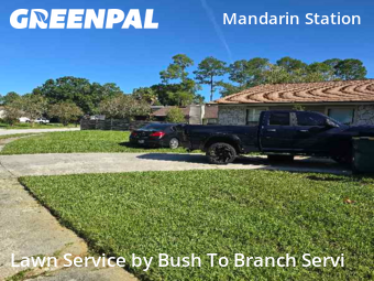 Lawn Mowing Service nearby Jacksonville, FL, 