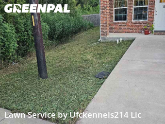 Grass Care in Greenville, 75401, Yard Services by Ufckennels214 Llc, work completed in Nov , 2025