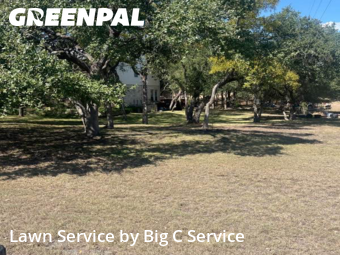 Lawn Mow nearby Georgetown, TX, 