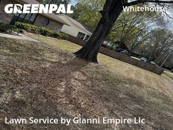 Grass Cutting nearby Jacksonville, FL, 