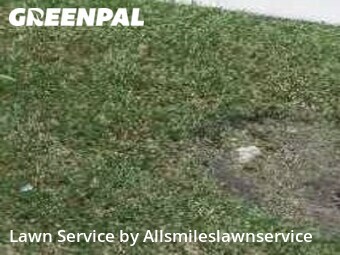 Lawn Service nearby North Miami Beach, FL, 