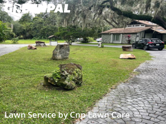Lawn Cuttingin Kissimmee,34746,Lawn Service by Cnp Lawn Care, work completed in Nov , 2025